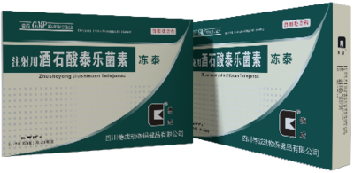 冻 &nbsp;&nbsp;&nbsp;泰