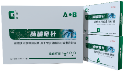 经典组合治疗产品--肺喘奇针