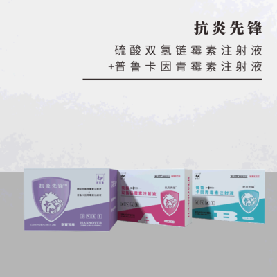 抗 炎 先 锋--硫酸双氢链霉素注射液+普鲁卡因青霉素注射液